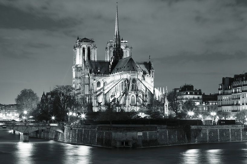 Kathedraal Notre Dame 's nachts, Parijs van Markus Lange