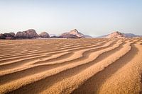 Goldstunde in der Wüste Wadi Rum in Jordanien