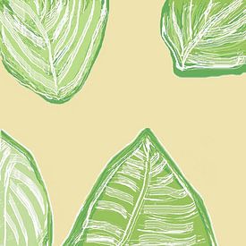 Een aantal planten blad tropisch vormen. van J.a Dijkstra