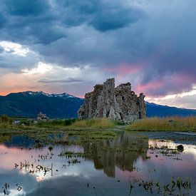 Tufa Mono Lake 1  van Ronald Tilleman