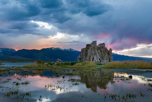 Tufa in Mono Lake 1