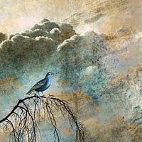  HEAVENLY BIRD IIa