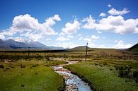 Ruisseau dans les prairies vertes du Sichuan par André van Bel Aperçu