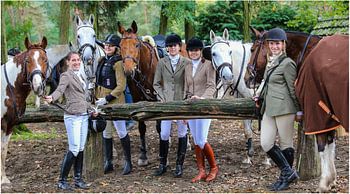 Paarden en amazone's