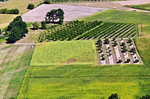 Zomers, Frans veld in de Dordogne