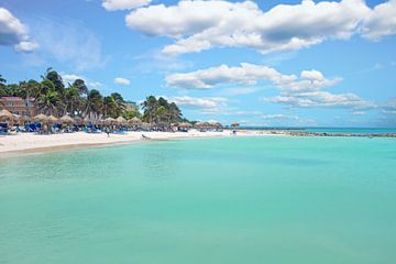 Palm beach op Aruba in de Caribbische Zee op de Nederlandse Antillen van Eye on You