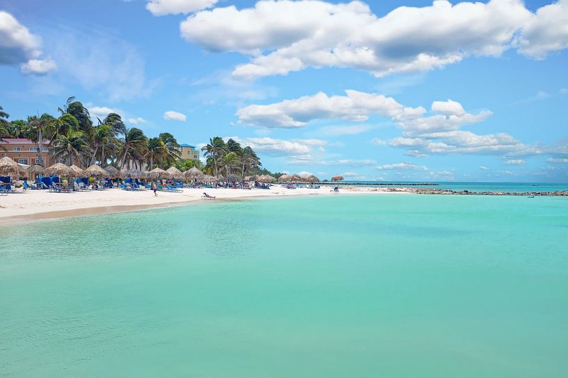 Palm beach on Aruba in the Caribbean Sea in the Netherlands Antilles by Eye on You