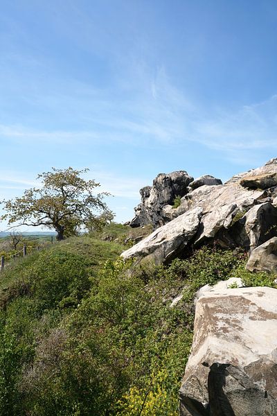 The Devil's Wall in the Preharz Mountains near Weddersleben by Heiko Kueverling