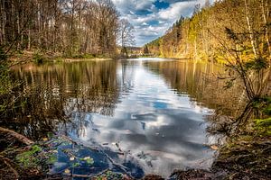 Reflet des nuages dans l'Eiswoog à Kaiserslautern sur Dieter Walther