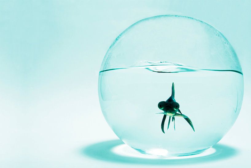 My personal bubble by Hanneke Meier