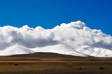 Le beau Tibet  sur Dennis Timmer