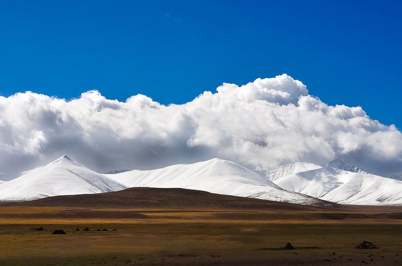 Schönes Tibet  von Dennis Timmer