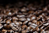 coffee backdrop, dark brown roasted beans, close up with details in the foreground, blurred in the b