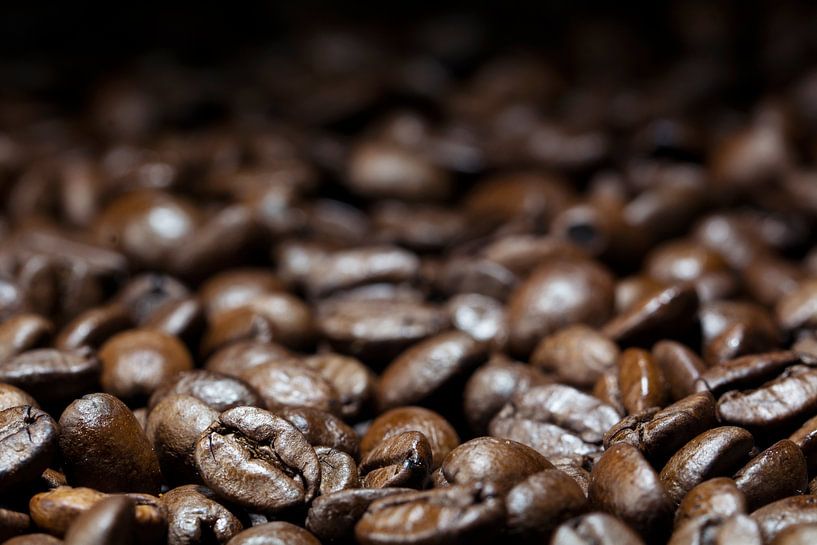 coffee backdrop, dark brown roasted beans, close up with details in the foreground, blurred in the b by Maren Winter