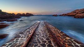 Cote d'Armor sur Roy Poots