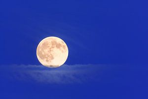 Lune pendant l'heure bleue sur R Smallenbroek