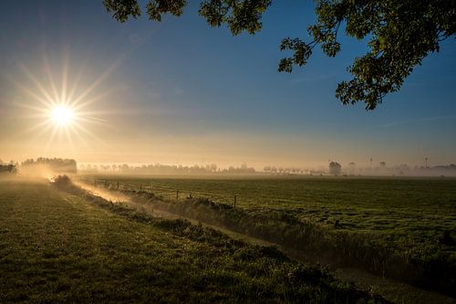 Mooie zonsopkomst weiland