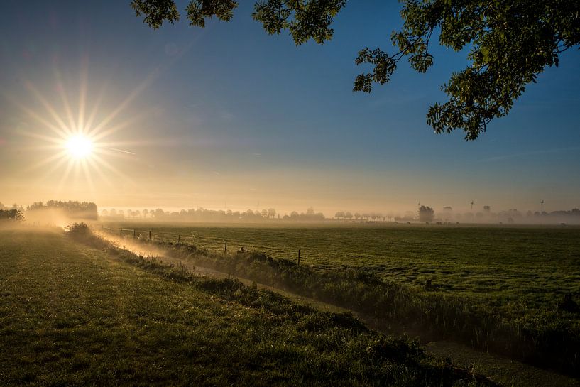 Mooie zonsopkomst weiland by Moetwil en van Dijk - Fotografie