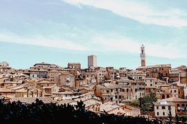 Skyline of Tuscan Siena by Lidushka