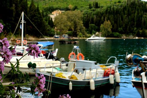 Harbour