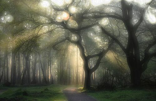 Planken Wambuis part 74