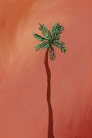 Palm