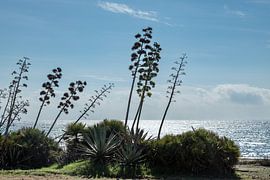 Bucht von San Jose am Mittelmeer, Almeria, Südspanien von Marjolein Zijlstra