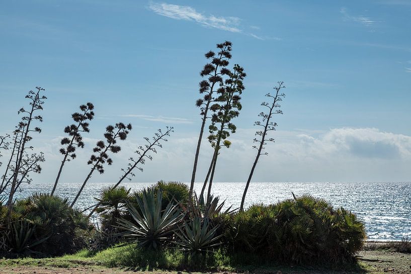 San Jose Bay on the Mediterranean Sea, Almeria, southern Spain by Marjolein Zijlstra