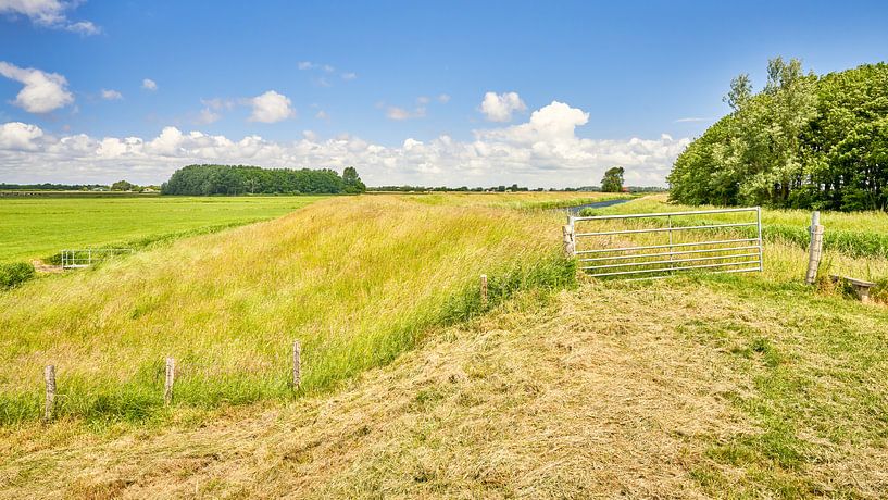 Dutch polder landscape in North Holland by eric van der eijk