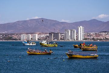 Fishing boats by Thomas Riess