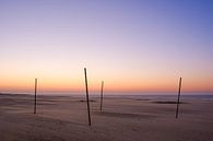 Palen op het strand van Johan Vanbockryck thumbnail