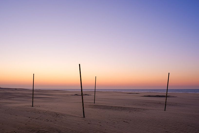 Palen op het strand van Johan Vanbockryck