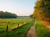 Warm light over agricultural fields in Gelderland by Kay Wils thumbnail