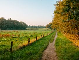 Warm light over agricultural fields in Gelderland by Kay Wils