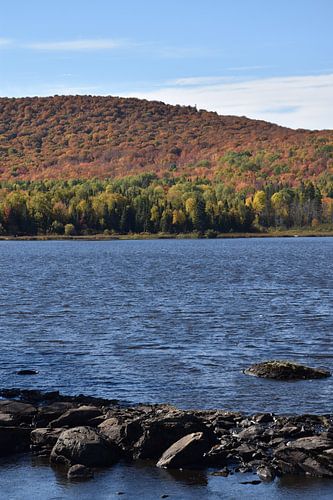 Het meer in de herfst