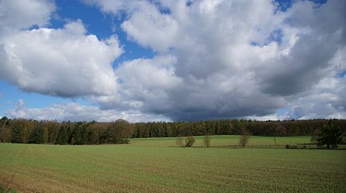 Zeddam -- Montferland