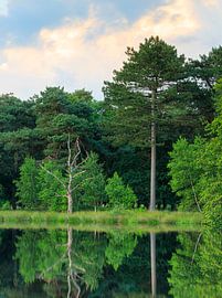 Sonnenuntergang Dwingelderveld - Drenthe (Niederlande) von Marcel Kerdijk