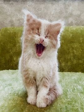The Cat Yawn. by TOAN TRAN