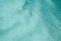 Fissures