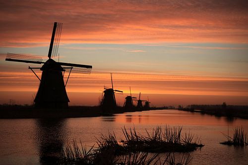 Kinderdijk #1