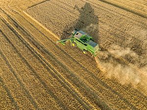 Mähdrescher bei der Weizenernte im Sommer von oben gesehen