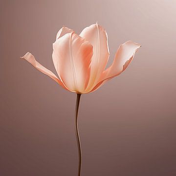 Peach Fuzz Serenade : Delicate Tulip sur Karina Brouwer