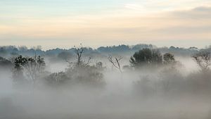 Magische morgen van Dirk van Egmond