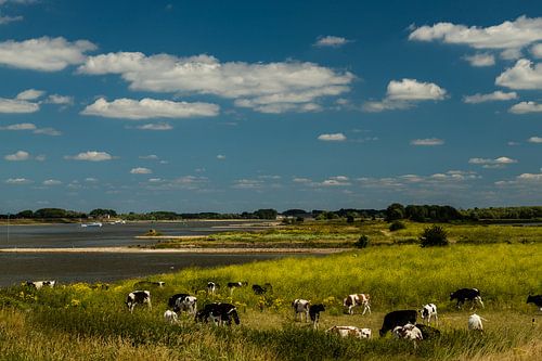 Entlang des Flusses Waal