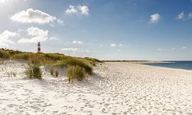 Seaside van Ursula Reins