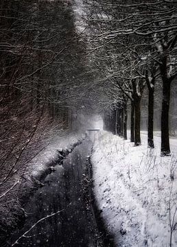Winter by Maickel Dedeken