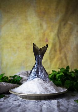 SF12678062 Still life of fish tail in tray with heap of salt by BeeldigBeeld Food & Lifestyle