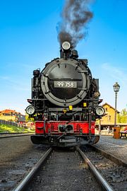 A view of the narrow-gauge railroad in Bertsdorf by Andreas Völkel