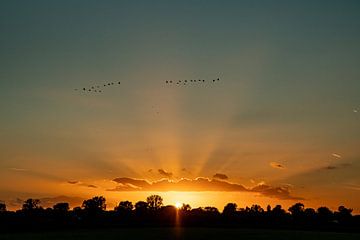 Voler dans les dernières lueurs du soleil sur Michael van Eijk