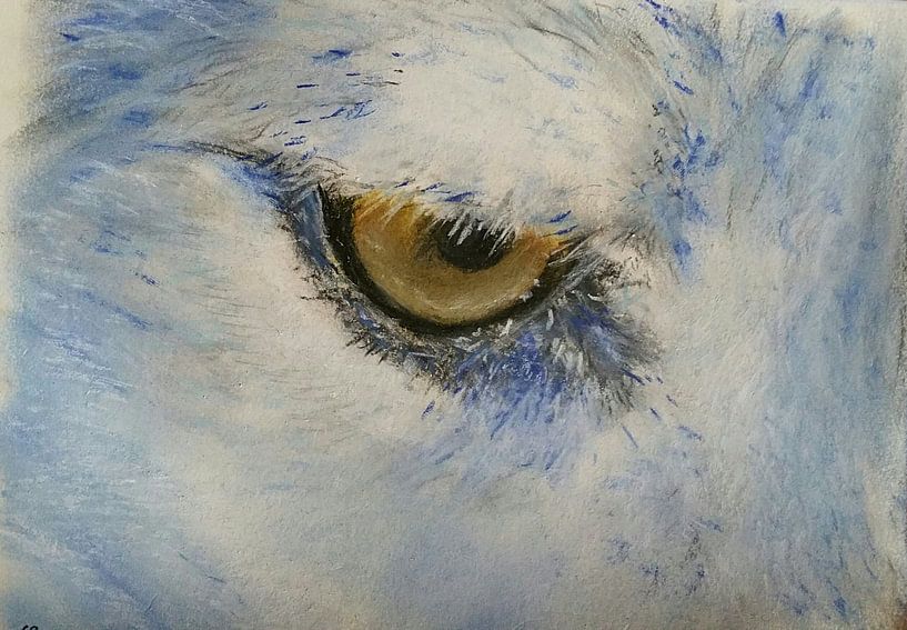 Wolf by Will Rouwen